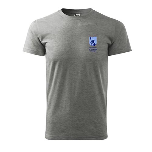 Image of Grey T-shirt